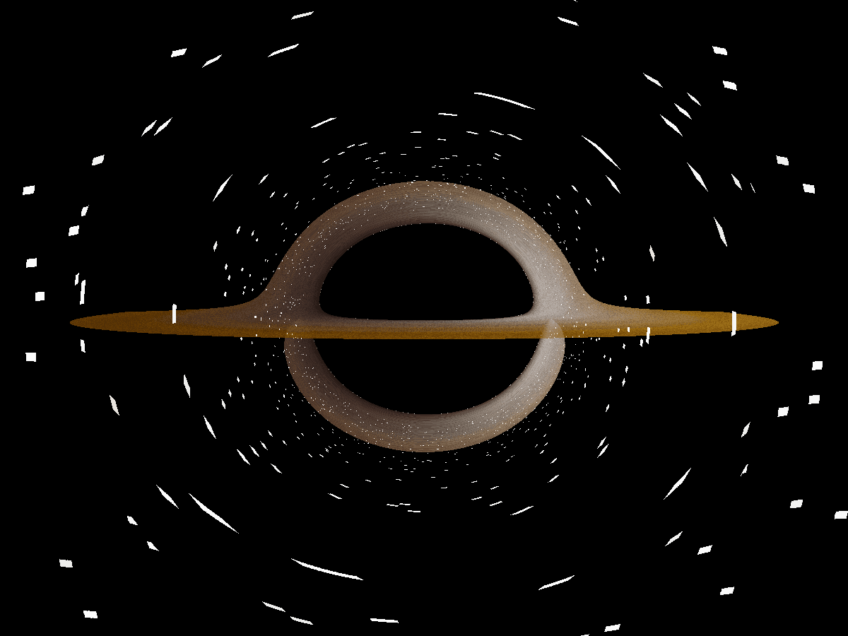 Black Hole Simulation